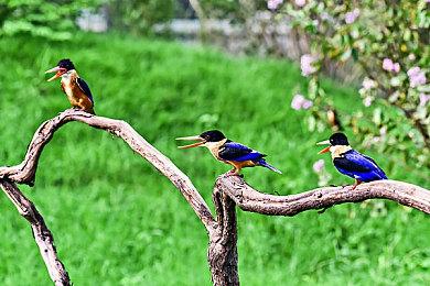 《最终幻想14》6.35版确定3月7日上线 新地下城任务等更新