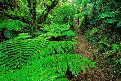 一招定乾坤！《街头霸王6》KO效果游戏截图集锦