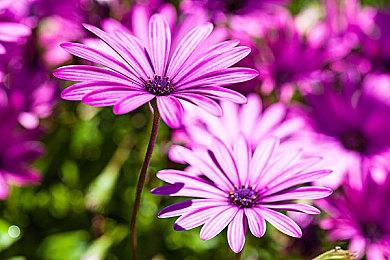 开发者：《赛博朋克2077：往日之影》不会融化你的PC